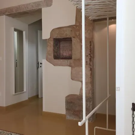 Basiliscus B&B 스테르나티아